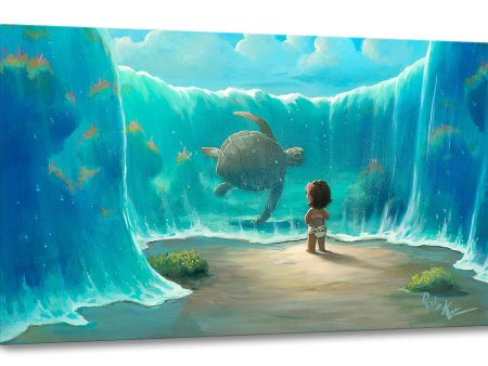 Moana’s New Friend  by Rob Kaz Online now