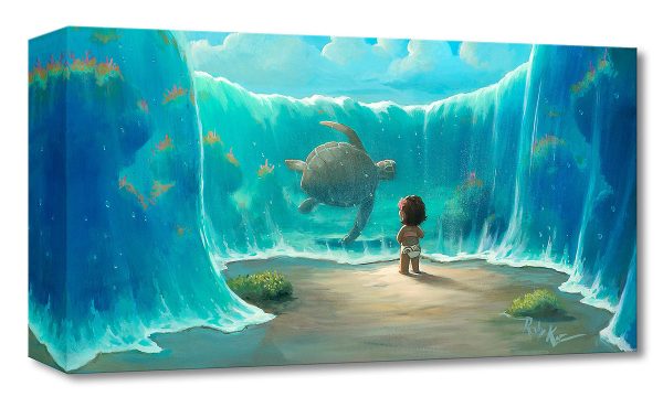 Moana’s New Friend  by Rob Kaz Online now