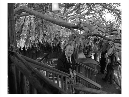 Walt at Swiss Family Tree House  from Disney Photo Archives Supply