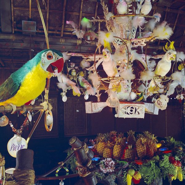 Pierre in Walt Disney s Enchanted Tiki Room  from Disney Photo Archives Hot on Sale