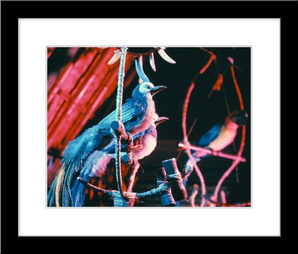 Walt Disney s Enchanted Tiki Room Birds  from Disney Photo Archives For Cheap