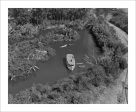 Aerial View of the Jungle Cruise, Disneyland Park  from Disney Photo Archives For Sale