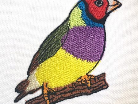 GOULDIAN FINCH Online now