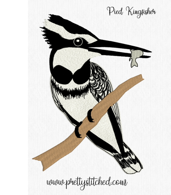 PIED KINGFISHER Discount