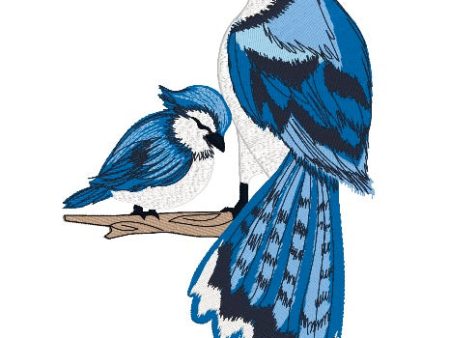 BLUE JAY BIRD Online Sale